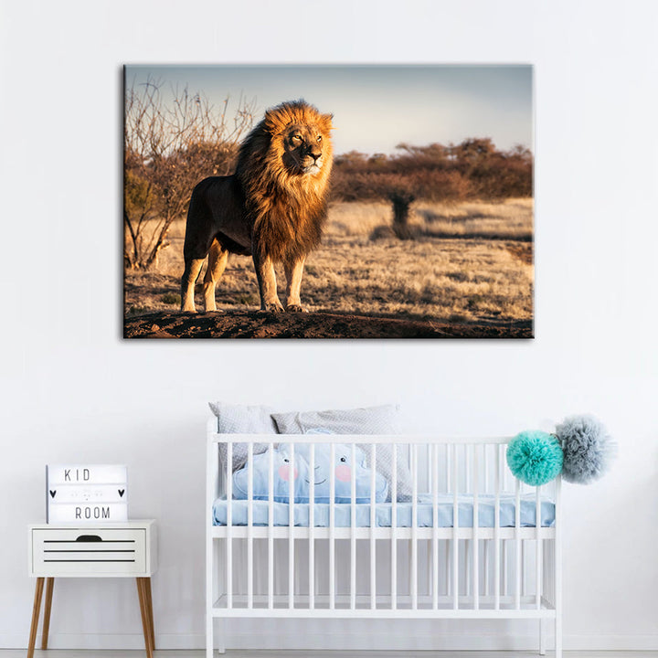 Majestic Lion Bathed In Sunlight - Canvas Wall Art Painting | Bowlift