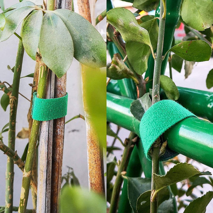 Self-adhesive nylon cable ties | Bowlift
