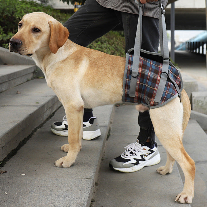 BowLift | Orthopedic Strap for Hind Legs