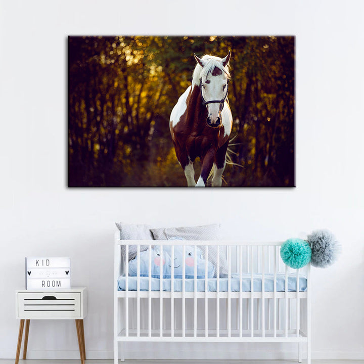 Courtly Overo Horse - Canvas Wall Art Painting | Bowlift