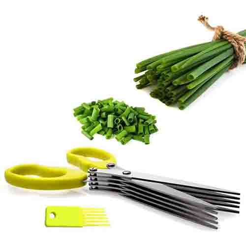 Food Scissor Stainless Steel With Cleaning Comb Bowlift