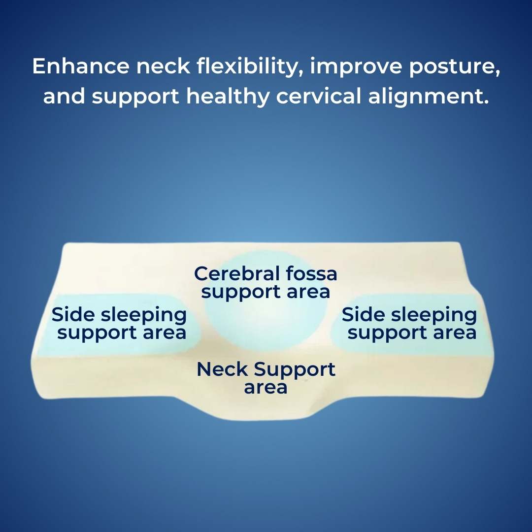 RestAlign Memory Foam Neck Support Pillow | Contoured Alignment for Neck Pain Relief and Improved Sleep Quality Bowlift