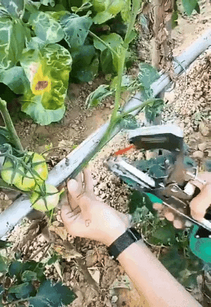 Plant binder for gardening | Bowlift