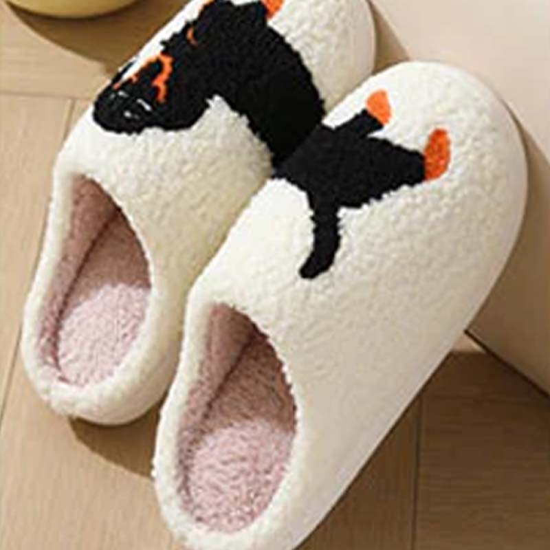 BowLift | PawSnooze – Cozy warmth and comfort that brings you joy