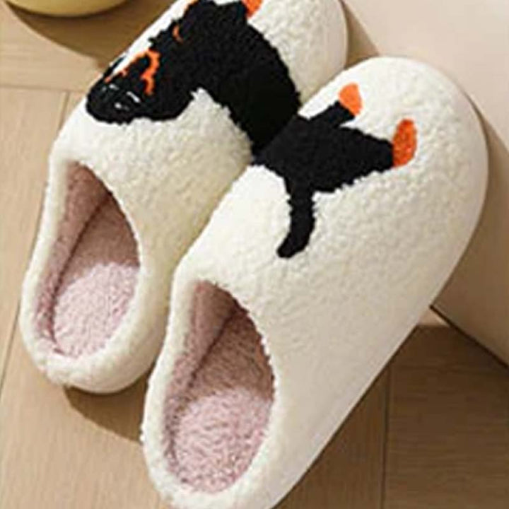 BowLift | PawSnooze – Cozy warmth and comfort that brings you joy