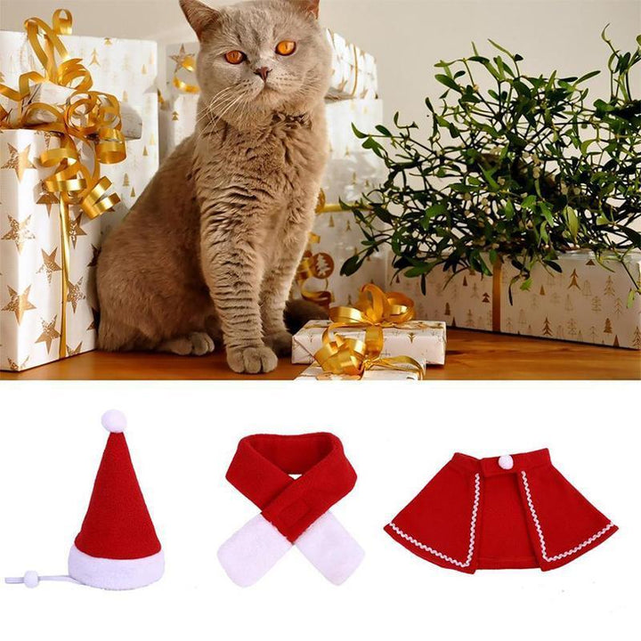 BowLift | FestivaPaws – Warm festive pet outfits that attract attention