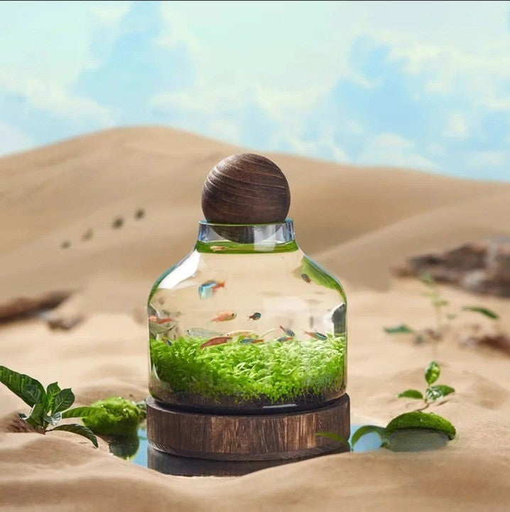 BowLift | Micro Aquarium Compact Glass Ecological Fish Tank