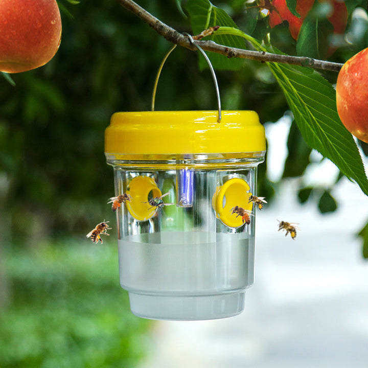 Solar powered wasp trap with LED lure | Bowlift