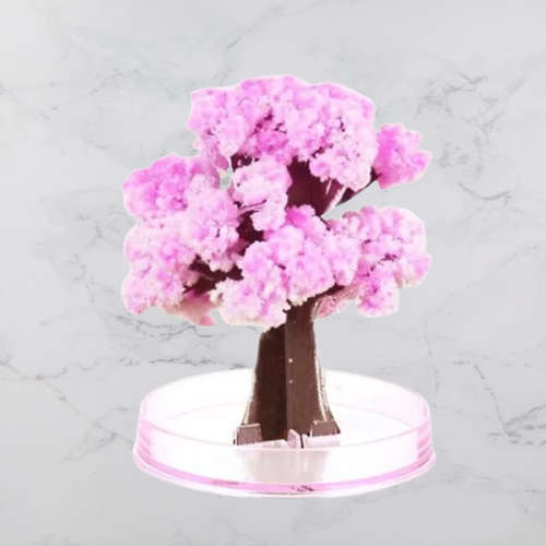 BowLift | DIY Magic Growing Christmas Tree