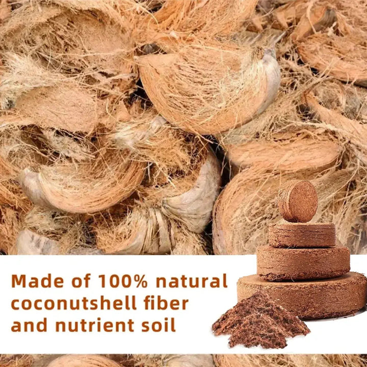 BowLift | 2-Piece Set Coconut Coir Briquettes for Plants – Organic Growing Substrate with High Water Retention!