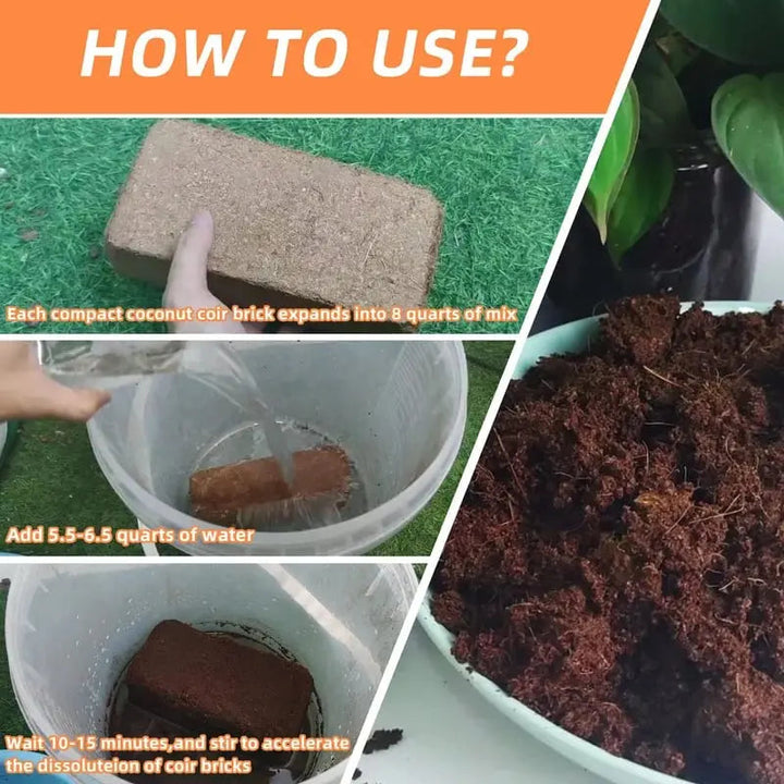 BowLift | 2-Piece Set Coconut Coir Briquettes for Plants – Organic Growing Substrate with High Water Retention!
