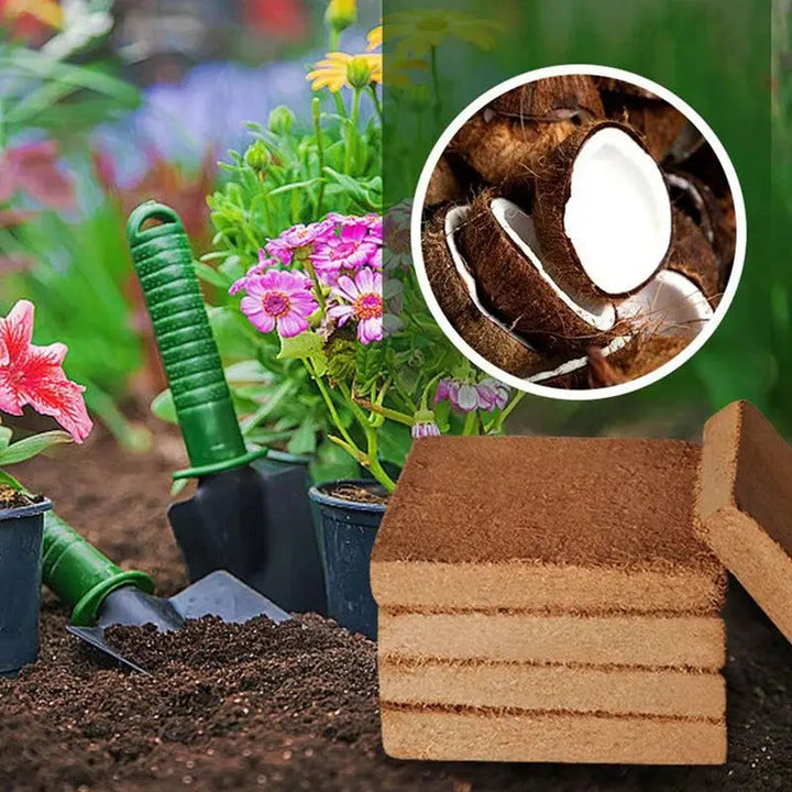 BowLift | 2-Piece Set Coconut Coir Briquettes for Plants – Organic Growing Substrate with High Water Retention!