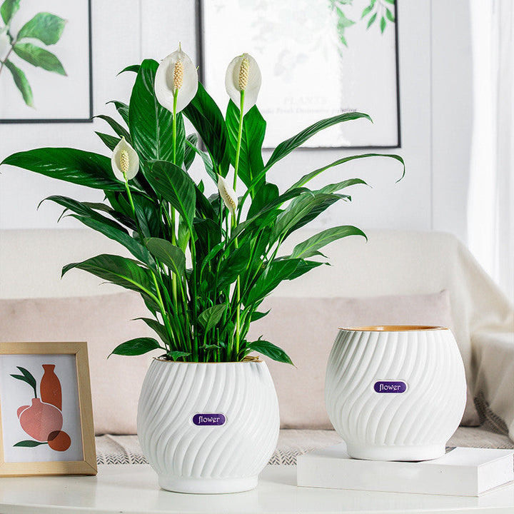 BowLift | Handmade Self-Watering Planter
