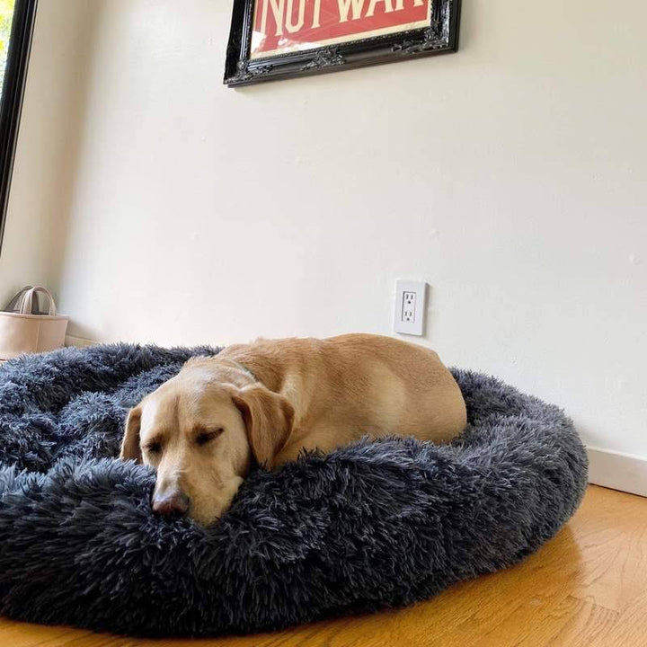 BowLift | Orthopedic Plush Donut Dog Bed