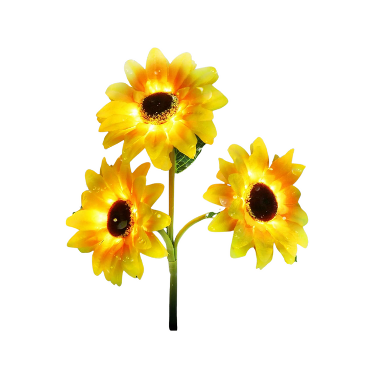 BowLift | SunGlow