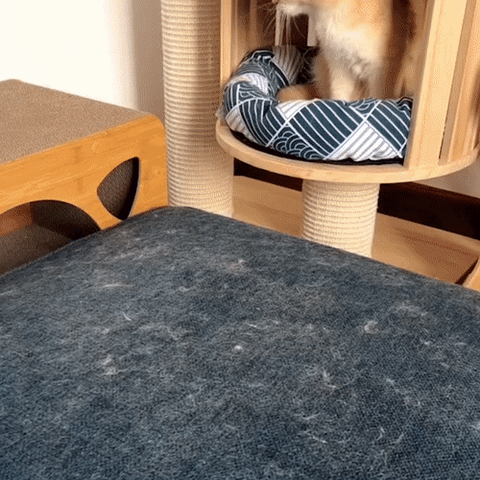 BowLift | 3-in-1 Pet Hair Remover - PetClean Pro