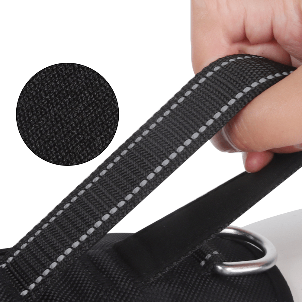 BowLift | Reflective & escape-proof for relaxed walks
