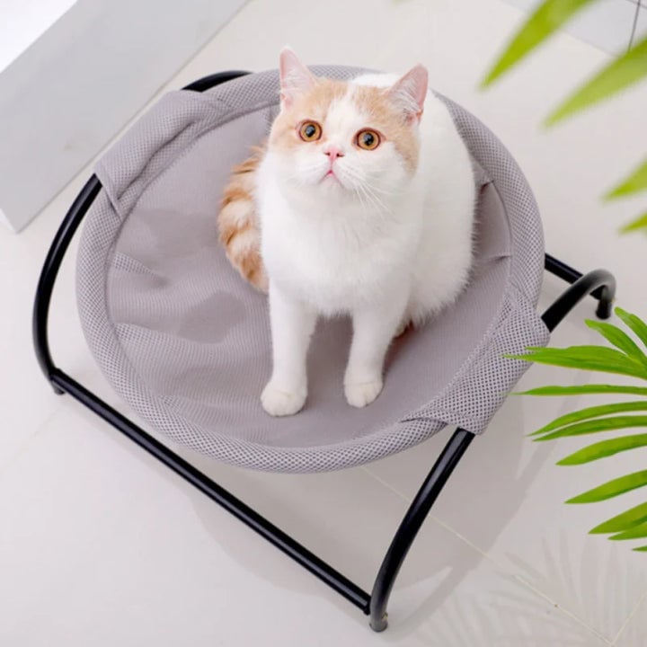 BowLift | Floor Cat Hammock-With Stand