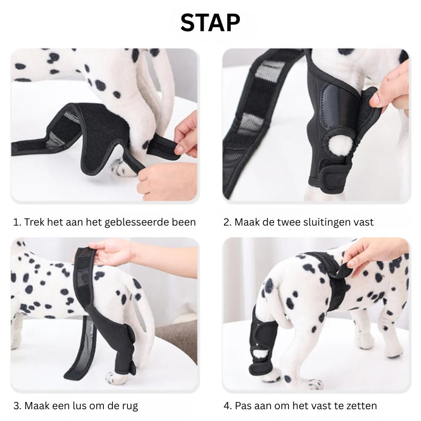 BowLift | PootVitaal Knee Brace for Dogs – Support for Joint Pain and Rehabilitation