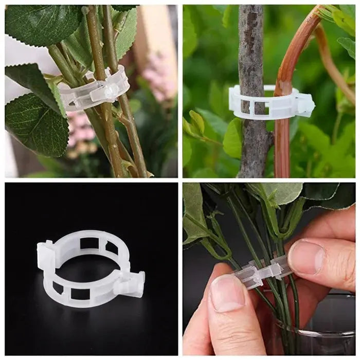VitaGrip Clips — Strong hold for majestic plants that grow and thrive proudly | Bowlift