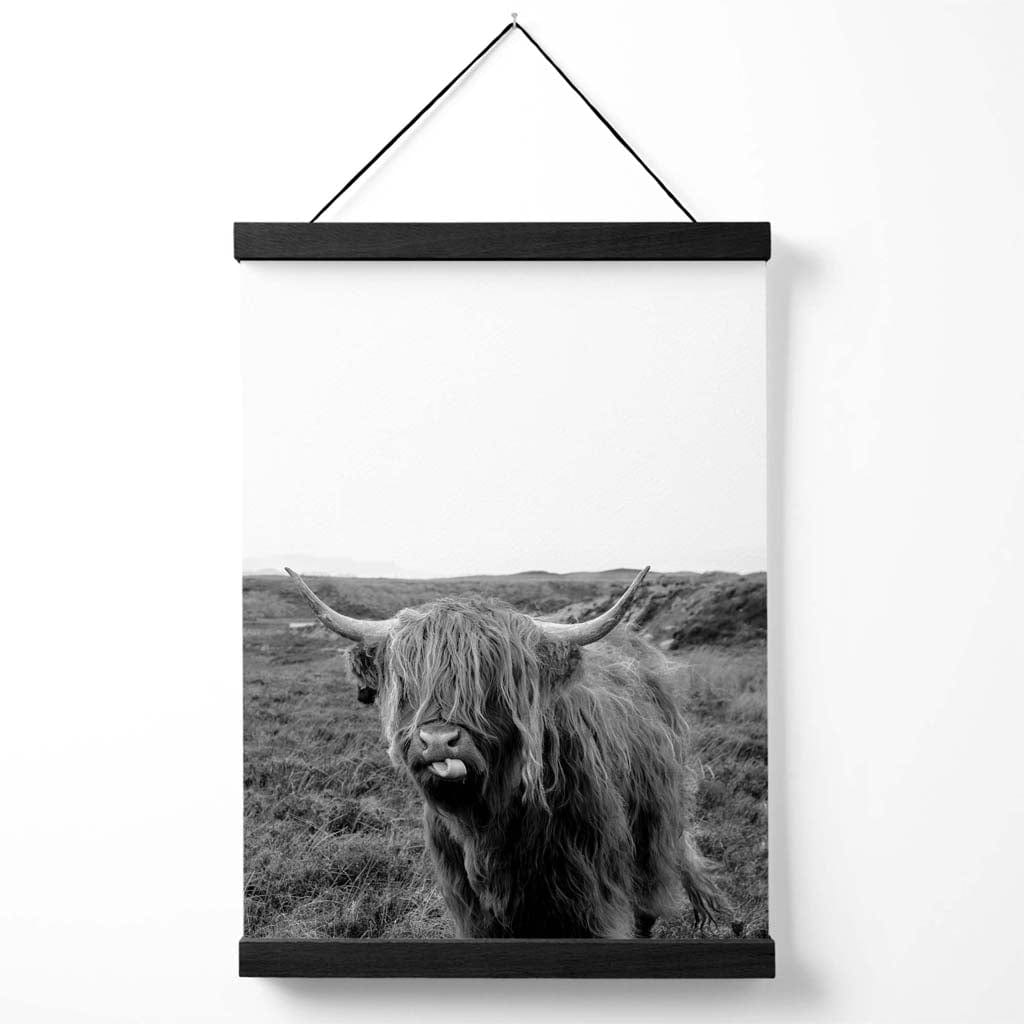 Cheeky Highland Beef Animal Black-White Photo Poster with Hanger | Bowlift