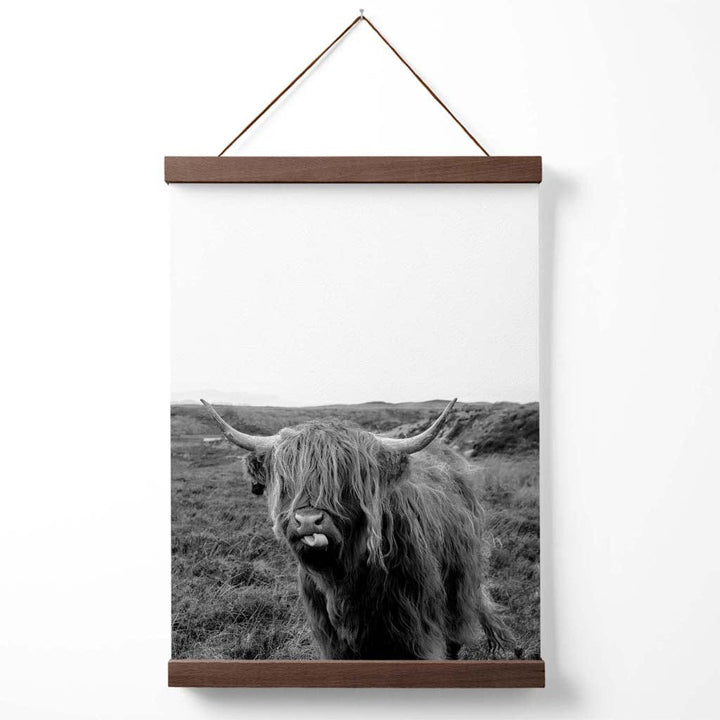 Cheeky Highland Beef Animal Black-White Photo Poster with Hanger | Bowlift