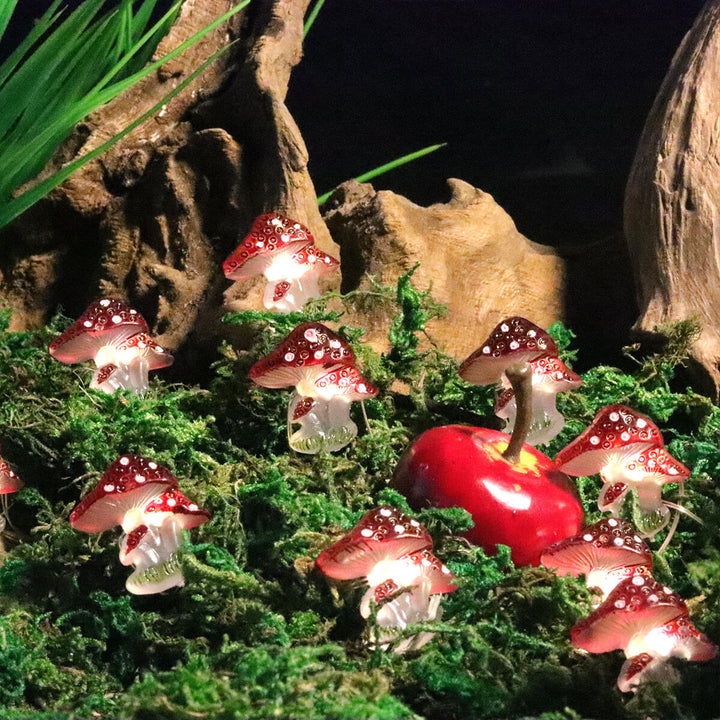 BowLift | Creative Decoration Mini Mushroom Plastic LED String Lights Outdoor Landscape Light