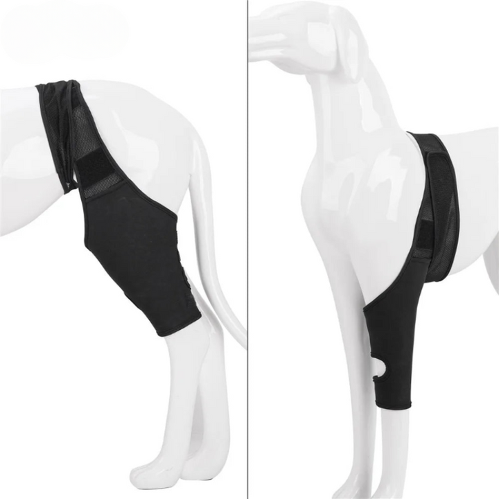 BowLift | PootVitaal Knee Brace for Dogs – Support for Joint Pain and Rehabilitation