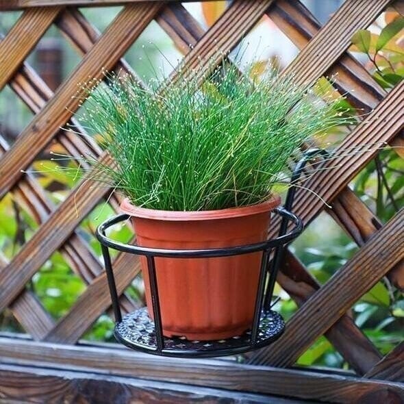 VerdaLift Plant Hanging Shelf — Finally rock-solid support for your balcony dreams | Bowlift