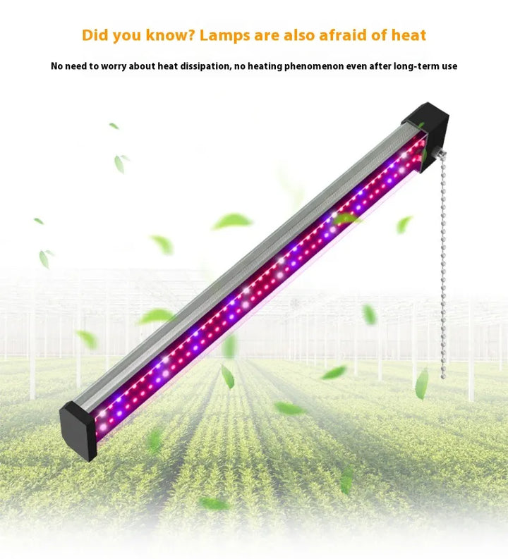 BowLift | LED plant lamp with full spectrum lighting and pull switch for optimal plant growth