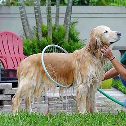 360° Pet Shower Tool - AquaPaws Bowlift