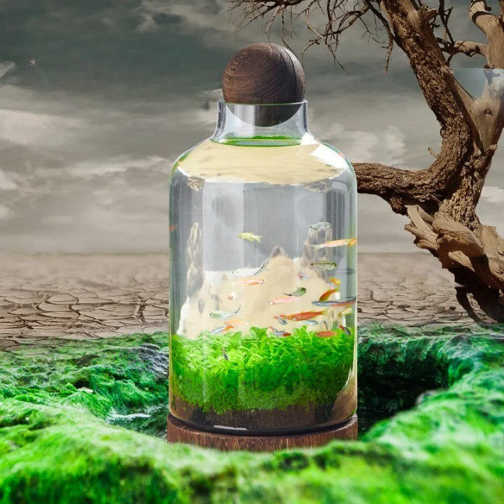 BowLift | Micro Aquarium Compact Glass Ecological Fish Tank