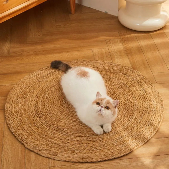 BowLift | KrazeLuxe Matte — Finally peace from scratching chaos and the favorite spot for your cat
