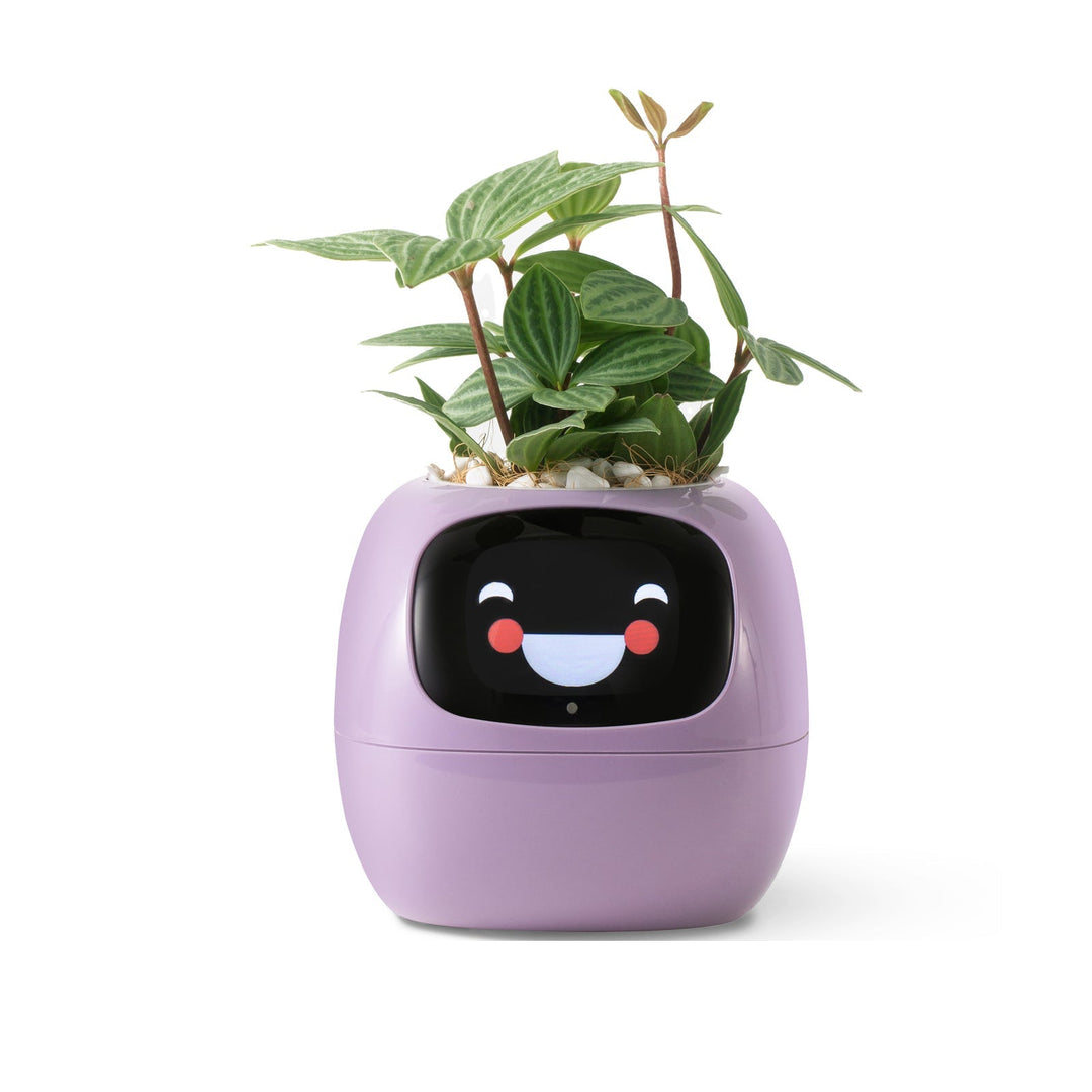 BowLift | VerdeGlow – Self-Watering Smart Plant Pot | Automatic Irrigation | Modern Indoor Planter