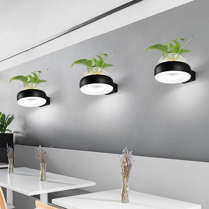 BowLift | Clear Glass Dome Wall Lighting Industry 1 Bulb Bedroom LED Wall Light Lamp in Black/Grey/White with Plant Holder