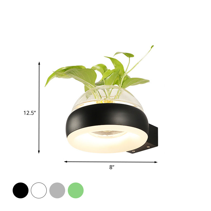 BowLift | Clear Glass Dome Wall Lighting Industry 1 Bulb Bedroom LED Wall Light Lamp in Black/Grey/White with Plant Holder