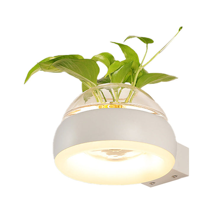 BowLift | Clear Glass Dome Wall Lighting Industry 1 Bulb Bedroom LED Wall Light Lamp in Black/Grey/White with Plant Holder