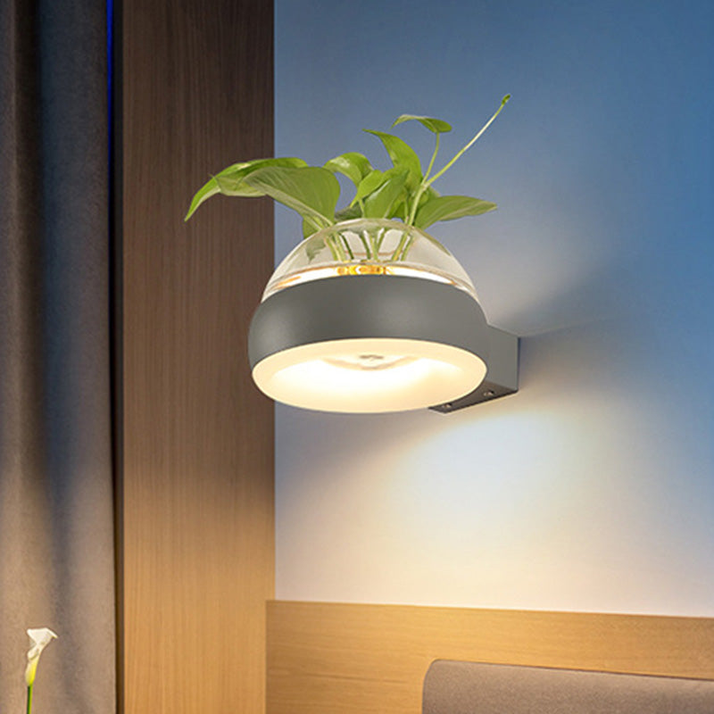 BowLift | Clear Glass Dome Wall Lighting Industry 1 Bulb Bedroom LED Wall Light Lamp in Black/Grey/White with Plant Holder