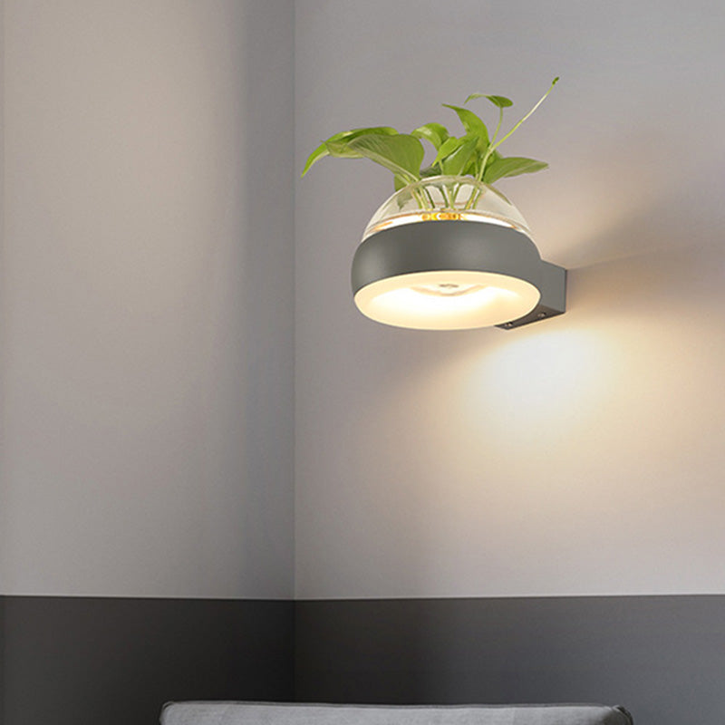 BowLift | Clear Glass Dome Wall Lighting Industry 1 Bulb Bedroom LED Wall Light Lamp in Black/Grey/White with Plant Holder