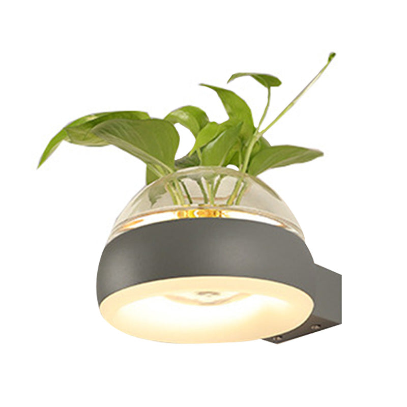 BowLift | Clear Glass Dome Wall Lighting Industry 1 Bulb Bedroom LED Wall Light Lamp in Black/Grey/White with Plant Holder