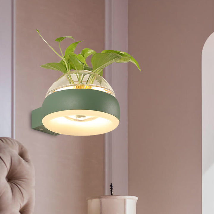 BowLift | Clear Glass Dome Wall Lighting Industry 1 Bulb Bedroom LED Wall Light Lamp in Black/Grey/White with Plant Holder