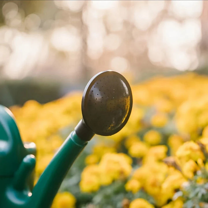 BowLift | Watering can with large capacity and long spout for precise watering and plant care