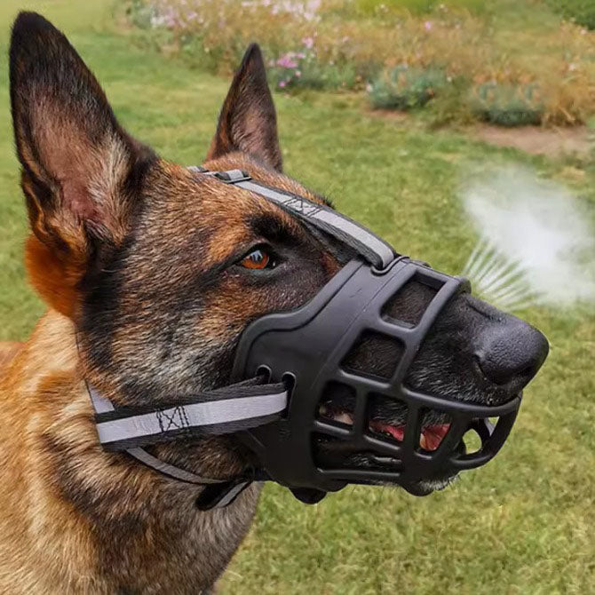 BowLift 丨 Adjustable Dog Mouth Cover