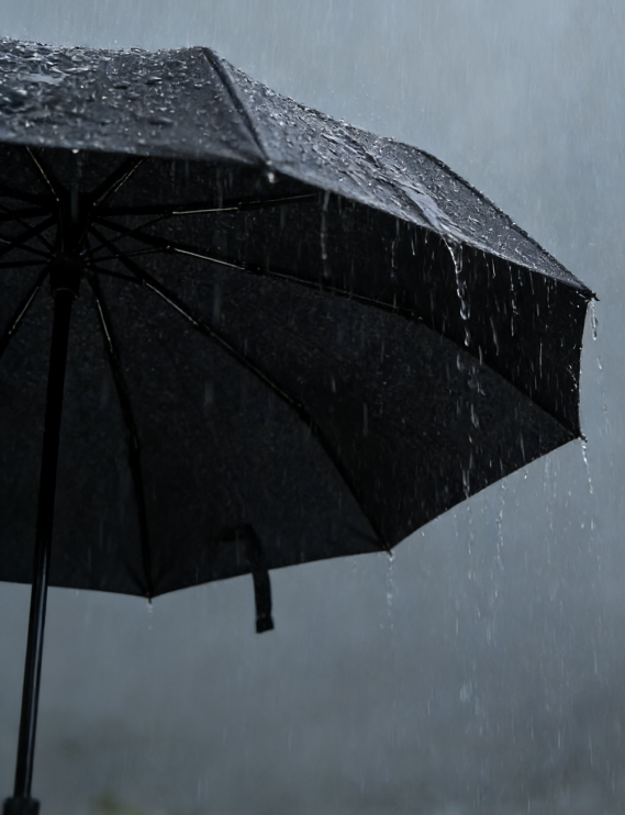 BowLift | Fully Automatic Double-Layer Business Folding Umbrella