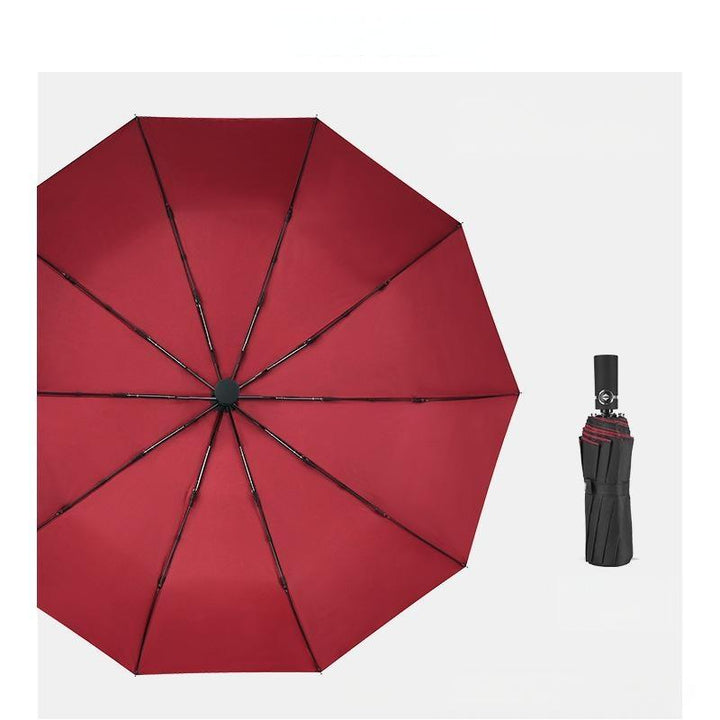 BowLift | Fully Automatic Double-Layer Business Folding Umbrella