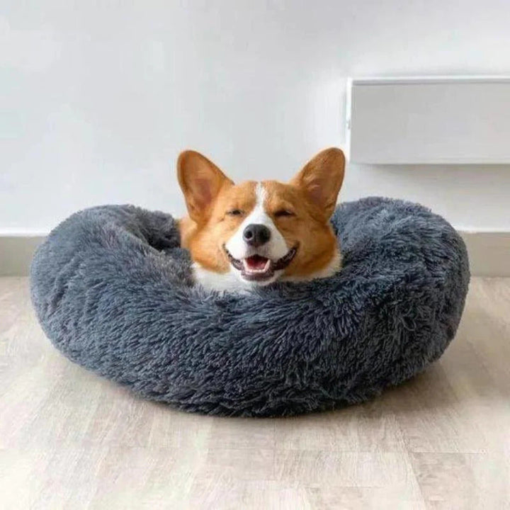 BowLift | Long Plush Donut Pet Bed with Washable Cover and Non-Slip Base