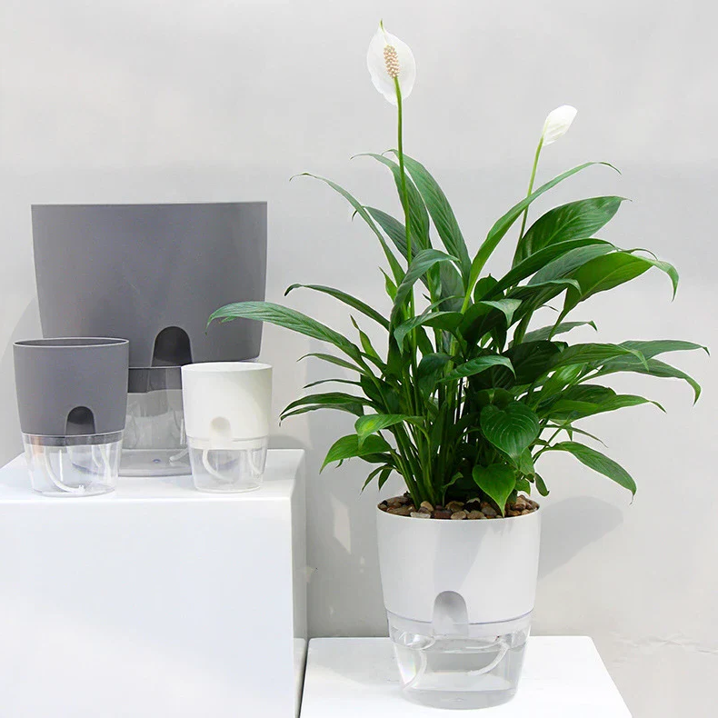 BowLift | Self Watering Planter