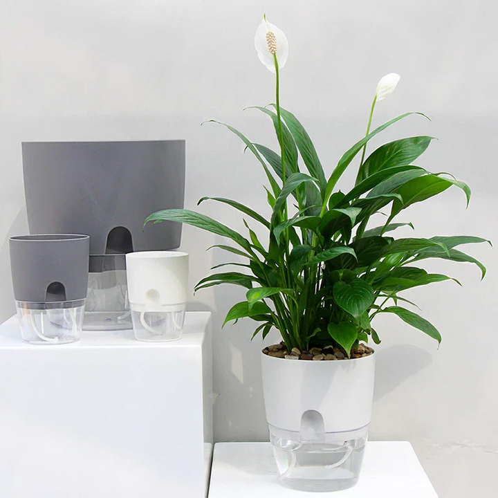 BowLift | Self Watering Planter