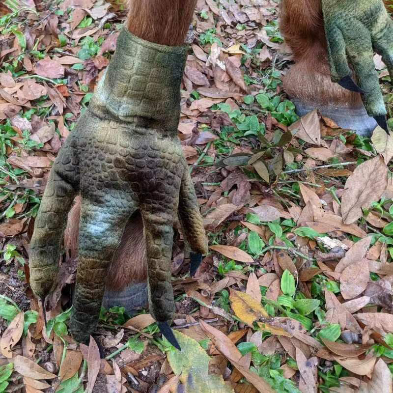 BowLift | Funny Feet For Horse