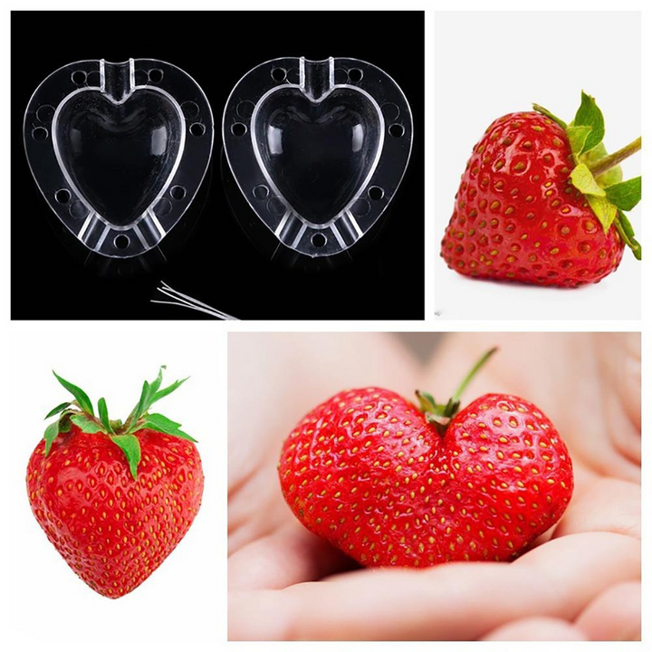 BowLift | Heart Shaped Vegetable Cutter – Creative Mold Bowl for Vegetables and Fruits
